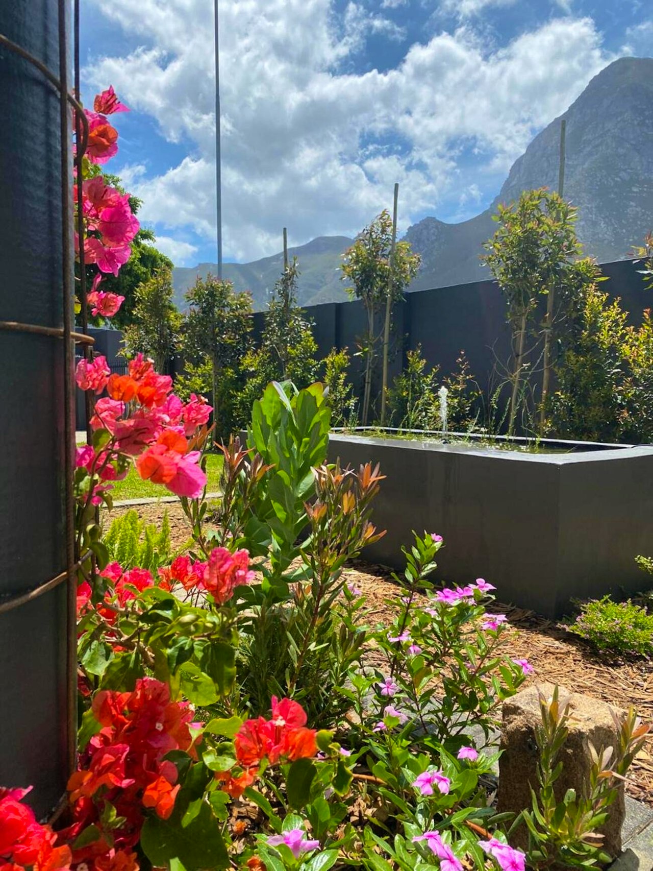 Hermanus Accommodation at  | Viya