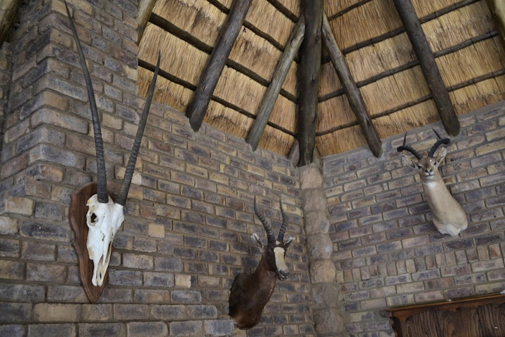 North West Accommodation at Siyaghopa Safaris | Viya