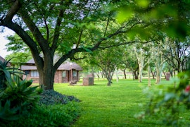 Soutpansberg Mountains Accommodation at Northgate Lodge | Viya