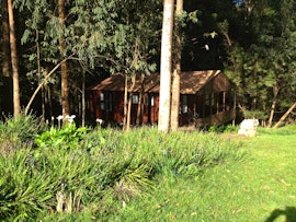 Garden Route Accommodation at Plett Forest Cabins & Wedding Venue | Viya