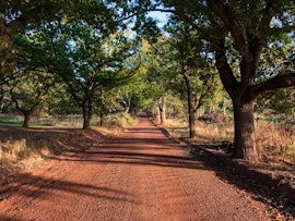 Grabouw Accommodation at Golden Delicious @ Oak Lane Cottages | Viya