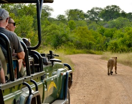 Mpumalanga Accommodation at Kruger Safari Lodge | Viya