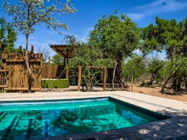 Dinokeng Game Reserve Accommodation at Chameleon Bush Lodge | Viya