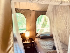 Kruger National Park South Accommodation at  | Viya