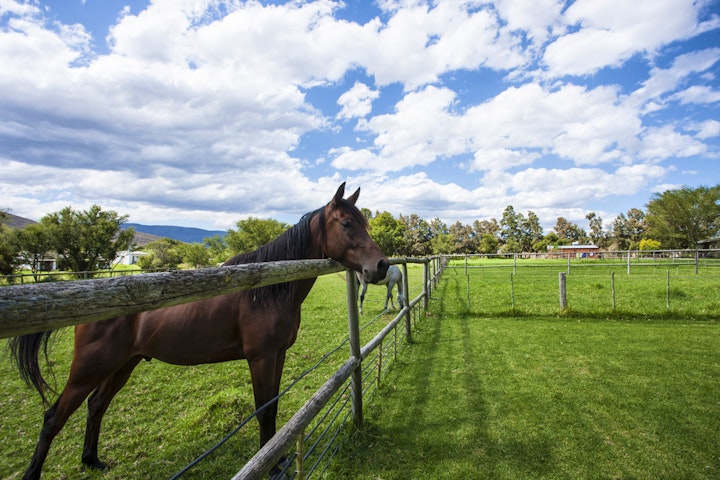 Cape Winelands Accommodation at Montagu Getaway | Viya