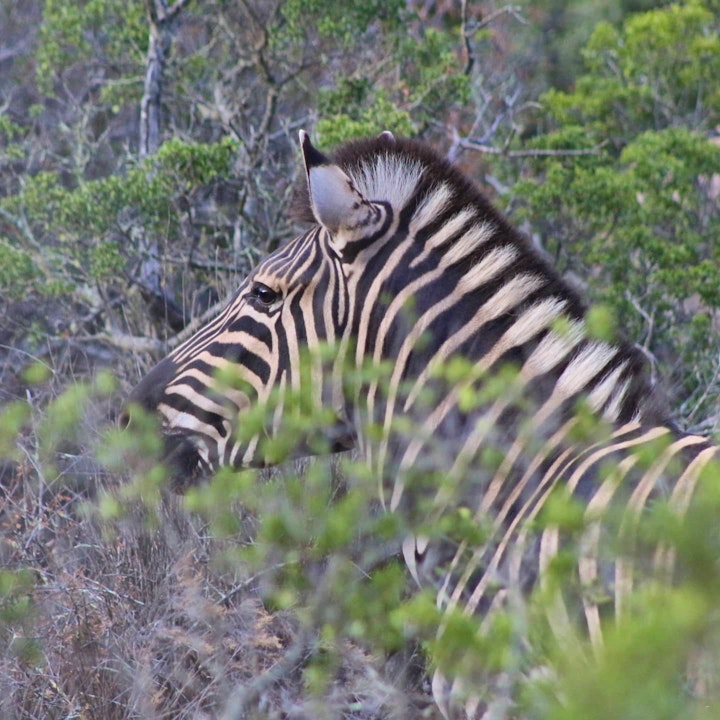 Western Cape Accommodation at Rooiberg Lodge | Viya