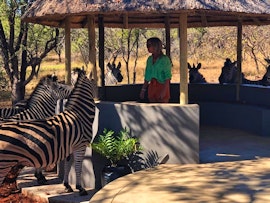 Kruger National Park South Accommodation at Pata Pata House | Viya