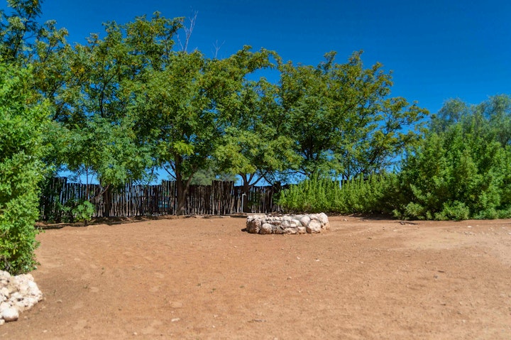 Northern Cape Accommodation at Kalahari Camelthorn Camping and Guesthouse | Viya