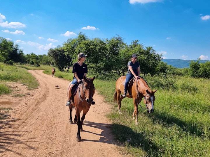 Waterberg Accommodation at Tamboti Grove | Viya