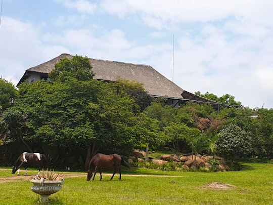 Mpumalanga Accommodation at  | Viya