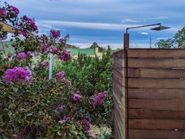 Overberg Accommodation at  | Viya