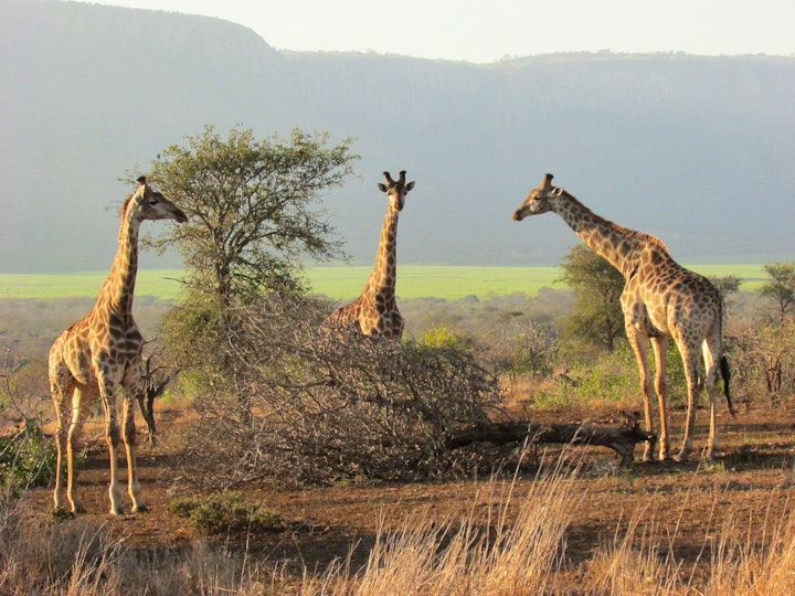 Zululand Accommodation at Nkonkoni Fishing Camp | Viya