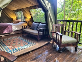 Garden Route Accommodation at Forest Glamping | Viya