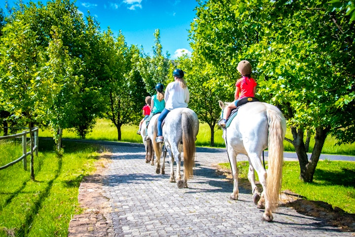 Panorama Route Accommodation at Dunkeld Country and Equestrian Estate | Viya