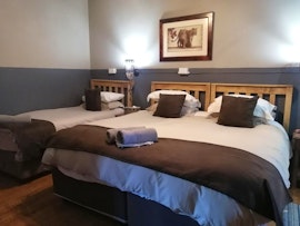 Western Cape Accommodation at  | Viya