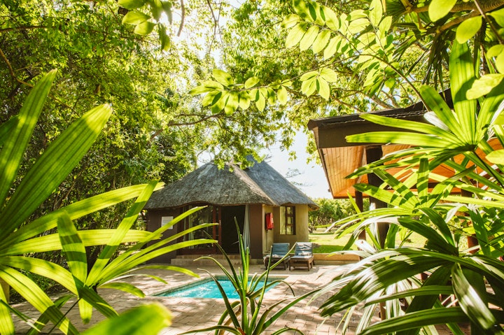 North Coast Accommodation at Monzi Safari Lodge | Viya