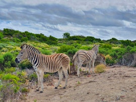 Overberg Accommodation at Seas the Day | Viya