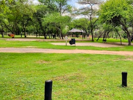 Limpopo Accommodation at Mabalingwe Caravan Park | Viya