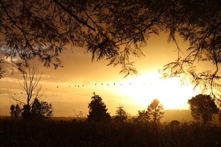 Swellendam Accommodation at A Log Home At Buffalo Creek | Viya