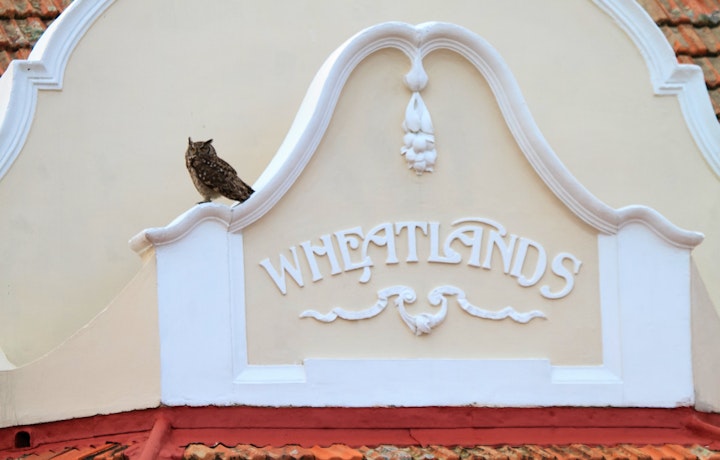 Western Cape Accommodation at Wheatlands Country House | Viya