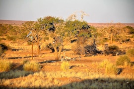 Namibia Accommodation at Alte Kalköfen Lodge | Viya