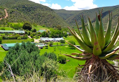  at De Oude Meul Country Lodge and Restaurant | TravelGround