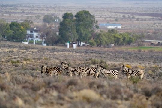 Karoo Accommodation at  | Viya