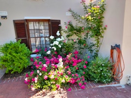 Northern Suburbs Accommodation at Meerendal Cottage Affordable Luxury | Viya