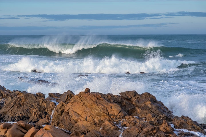 Northern Cape Accommodation at Namaqua Flower Beach Camp | Viya