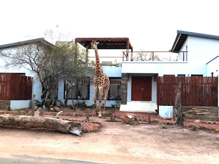 Limpopo Accommodation at Geminthebush Lodge | Viya