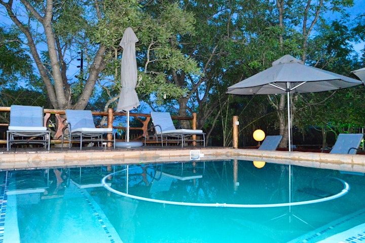 Kruger National Park South Accommodation at Pan African Safari | Viya