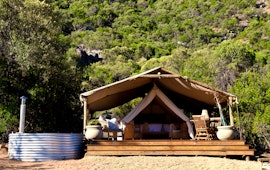 Western Cape Accommodation at  | Viya