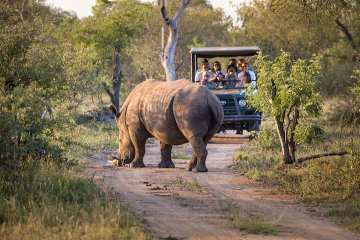 Limpopo Accommodation at Tshukudu Game Lodge | Viya