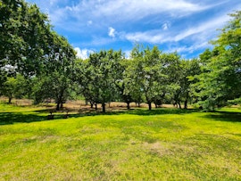 Grabouw Accommodation at Golden Delicious @ Oak Lane Cottages | Viya