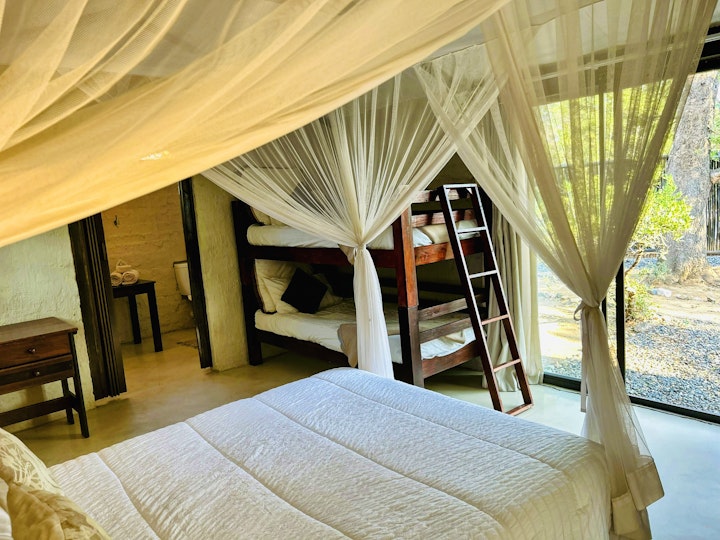 Kruger To Canyons Accommodation at Leadwood Tree Safari Lodge | Viya