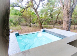 Kruger National Park South Accommodation at African Bush Escape | Viya