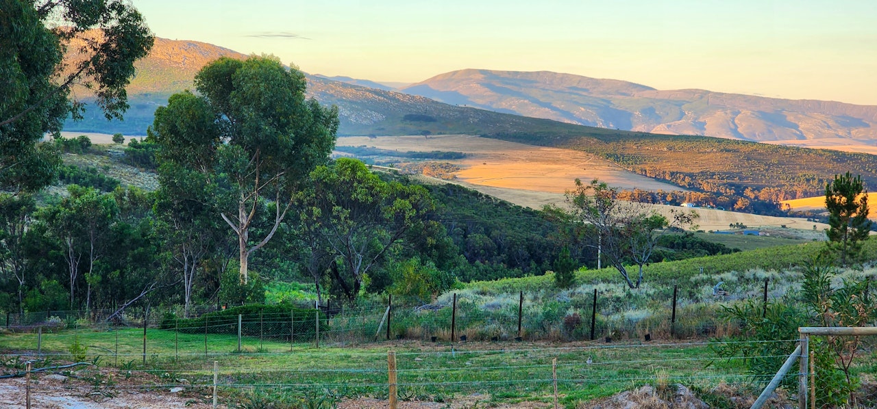 Overberg Accommodation at  | Viya