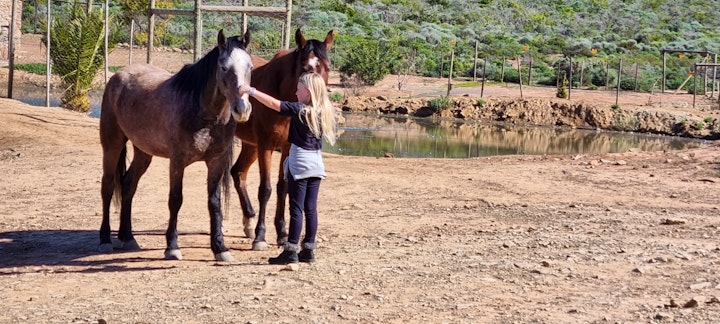 Western Cape Accommodation at Phumelela Private Game Farm | Viya