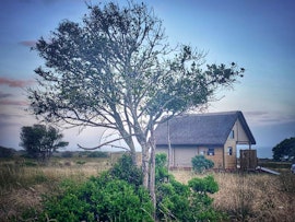 Garden Route Accommodation at Kuierbos Farm Stay | Viya