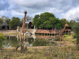 Kruger To Canyons Accommodation at Simbavati Waterside | Viya