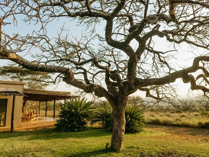 KwaZulu-Natal Accommodation at Sensiri Plains Senticosus | Viya