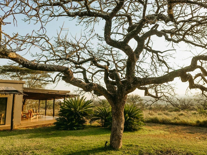 Zululand Accommodation at Sensiri Plains Senticosus | Viya