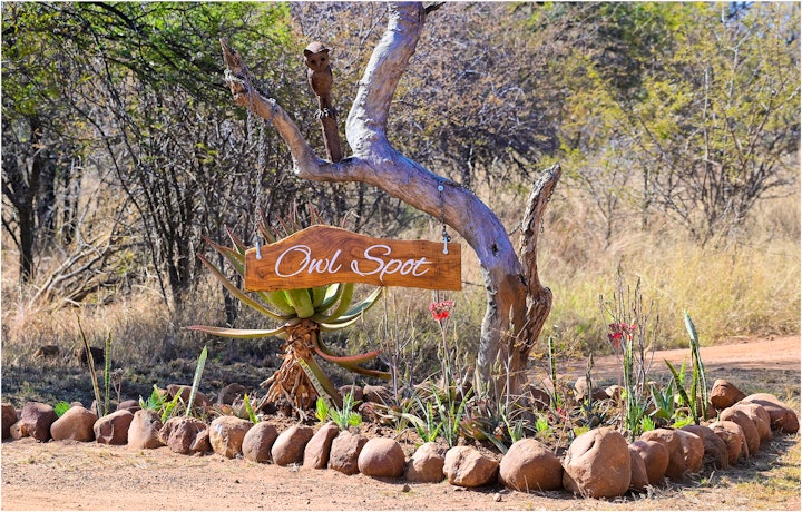 Gauteng Accommodation at Owl Spot | Viya