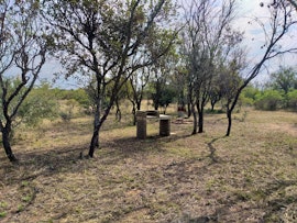 Dinokeng Game Reserve Accommodation at  | Viya