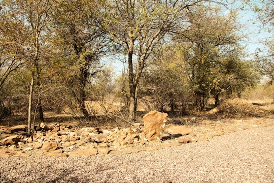 Waterberg Accommodation at  | Viya