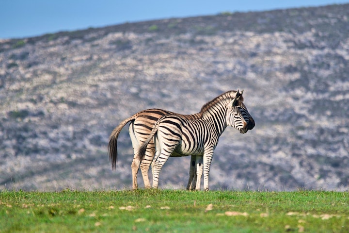 Western Cape Accommodation at Old Sam's Cottage | Viya