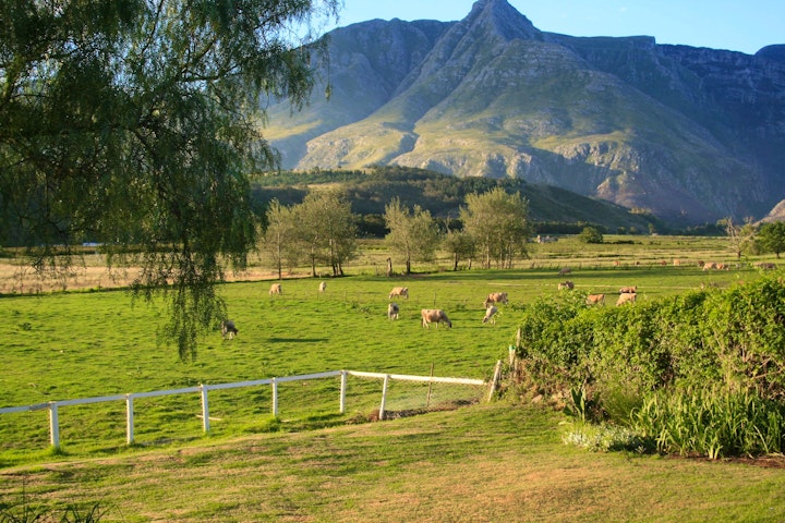 Overberg Accommodation at Arumvale Country Retreat | Viya