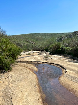 Garden Route Accommodation at Die Weet Jy | Viya