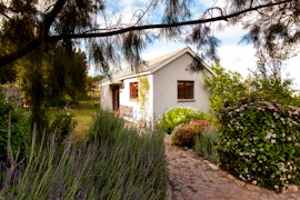 Boland Accommodation at  | Viya