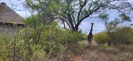 Kruger To Canyons Accommodation at  | Viya